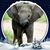 Sandra Browning's profile image