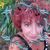 Rola Lisa Perkins's profile image