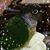 Deb Cobb's profile image