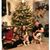 Tammy Raisner's profile image