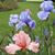 Sheryl Marie Renich's profile image
