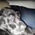Paula Johnson's profile image