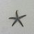 Norma Schmig's profile image