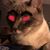 Angelo Ray's profile image