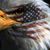 Ernie Stalnaker's profile image
