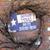 Tina Vroman's profile image