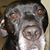 Booboo Samake's profile image