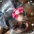Lynn Hovey's profile image