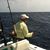 Jerry Maiorano's profile image
