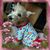 Angel Cooper's profile image