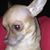 LetiFred Sanchez's profile image