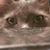 Justin Wright's profile image