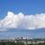 Shontail Leveringston-Lewis's profile image