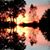 Mary Torrey Estrada's profile image