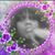 Xtina Allday's profile image