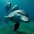 Kathy Agel's profile image