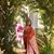 Nandini Sen Ray's profile image