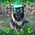 Stephanie Kulp Houck's profile image