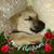 Kendra Keys's profile image