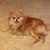 Wanda Posey Smith's profile image