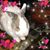 Susan Bird's profile image