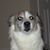 Alison Hughes Cobb's profile image