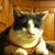 Jill StOnge's profile image