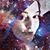 Jessica Feinberg's profile image