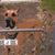 Gary Priebe's profile image