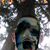 Mike Bryan's profile image