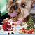 Pat Evans's profile image
