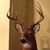 Peter Hamilton's profile image