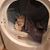 Bobby Adkins's profile image