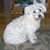 Frances Fleischman's profile image