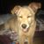 Elaine George's profile image
