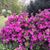 Cynthia Czerwonka's profile image