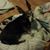 Brenda Closser's profile image