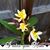 Linda Brinson's profile image