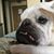 Brent Guice's profile image