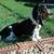 Lyndsey Saboe's profile image