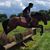 Monica McLaughlan's profile image
