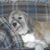 George Lingner's profile image