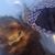 Lorna Goodlow's profile image
