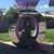 Annie Liu Braley's profile image