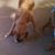 Carl Johnson's profile image