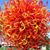 Patricia Morris's profile image