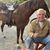 Dave Stevenson's profile image