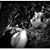 Honey Behrens's profile image