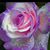 Connie Mccullough's profile image