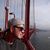 Larry Gardner's profile image